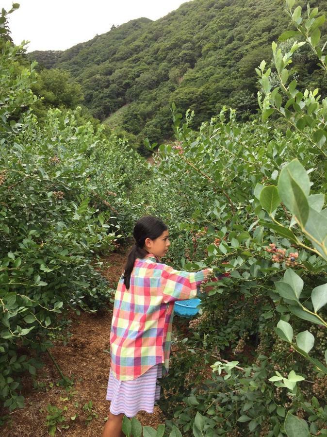 Kumano Winery Guest House 田辺市 エクステリア 写真
